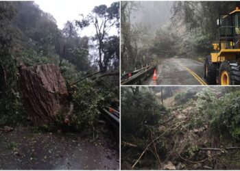 影音/更新訊息/中橫宜蘭支線米摩登路段坍方中斷 1/2下午搶通