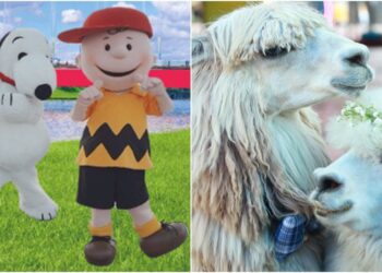 宜蘭童玩節7/23超萌主題日 史努比、查理布朗、羊駝快閃同樂