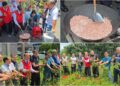 影音/五結沙地土豆開始採收了 要買要吃動作要快