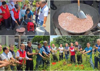 影音/五結沙地土豆開始採收了 要買要吃動作要快