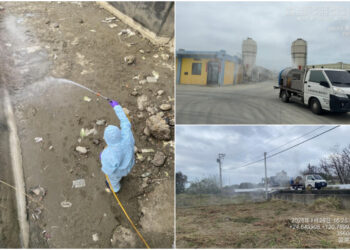 苗栗後龍大排驚見235隻雞屍 採樣檢出H5N1禽流感!