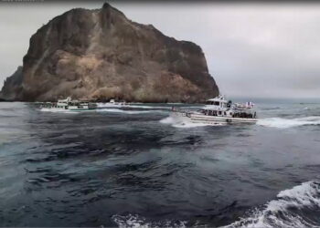 影音/浪大攪局 龜山島淨灘取消 3/1起預約登島觀光