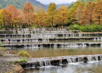 影音/冬日限定夢幻秘境 三層坪農塘美甚！