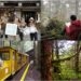 影音/玩聲音聽世界+太平山林鐵行旅 開始報名囉