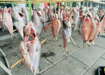 串聯山與海苗栗水尾＋湖東　打造休閒、學習與企業社會責任的深度一日遊