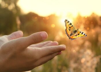 以人為本 聯合生命禮儀 全命服務 人生最後一哩路 陪伴親人優雅轉身