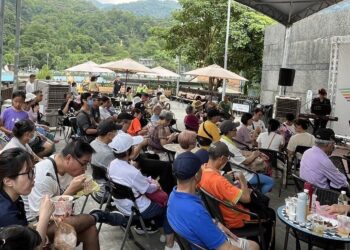 封街、茶香、文創、音樂、人潮　坪林老街華麗轉身展新姿