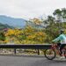 『花現參山』秋冬單車尋花蹤　租用公共自行車旅遊獅頭山更輕鬆 落羽松、無患子、楓葉即將進入轉紅及染黃最美時節