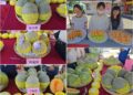 影音/壯圍健走饗瓜果6/6登場 有吃有拿還能享受田園趣