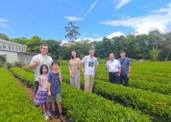 「貓裏紅」吸引國際目光!苗栗縣府推「豐味苗栗」整合農產 媒合英國高端百貨通路
